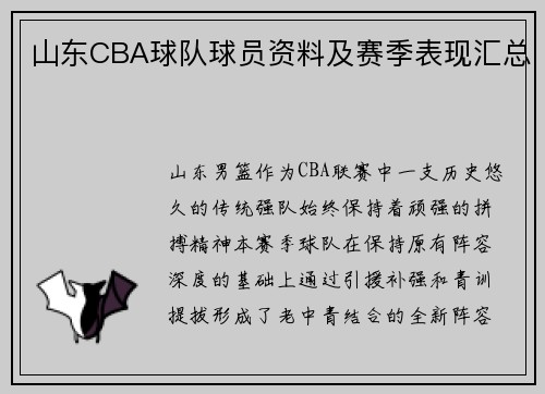 山东CBA球队球员资料及赛季表现汇总